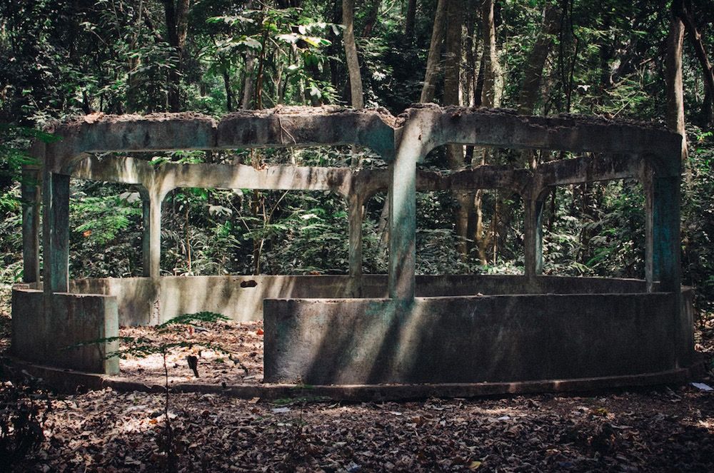 Camayenne Botanical Garden, Conakry