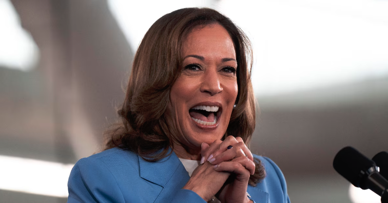 In the industrial north-eastern states, Kamala Harris- voter turnout.- Vote for Kamala Harris, in North Carolina, on 16 August 2024. afp.com-Allison Joyce